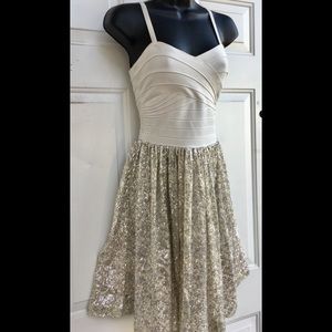 ERIN FETHERSTONE Silver Sequin Bandage Dress XS